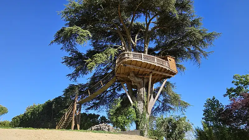 La cabane perchée